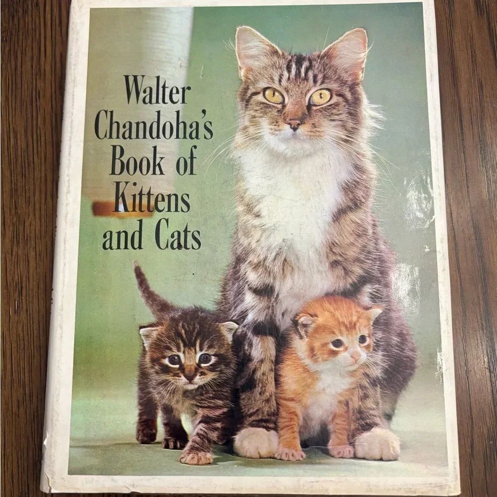 Chandoha’s Book of Kittens and Cats photography - vintage hardback. 1970’s.